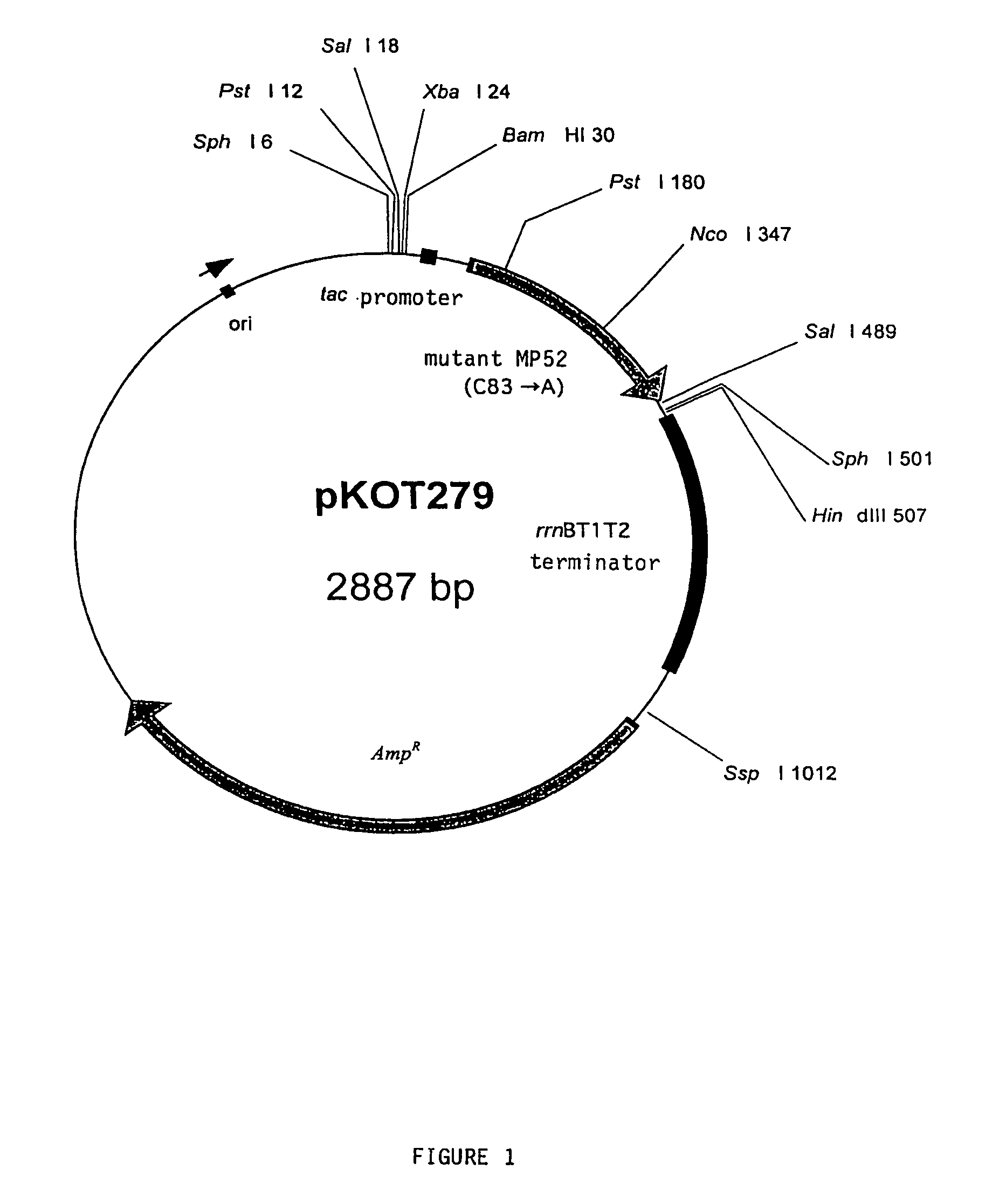 Monomer protein with bone morphogenetic activity and medicinal agent containing the same for preventing and treating diseases of cartilage and bone