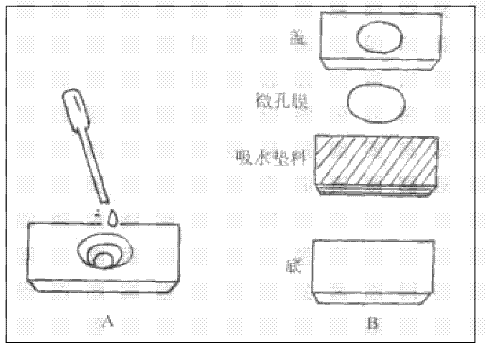 Myocardial infarction early-warning colloidal gold kit and preparation method thereof