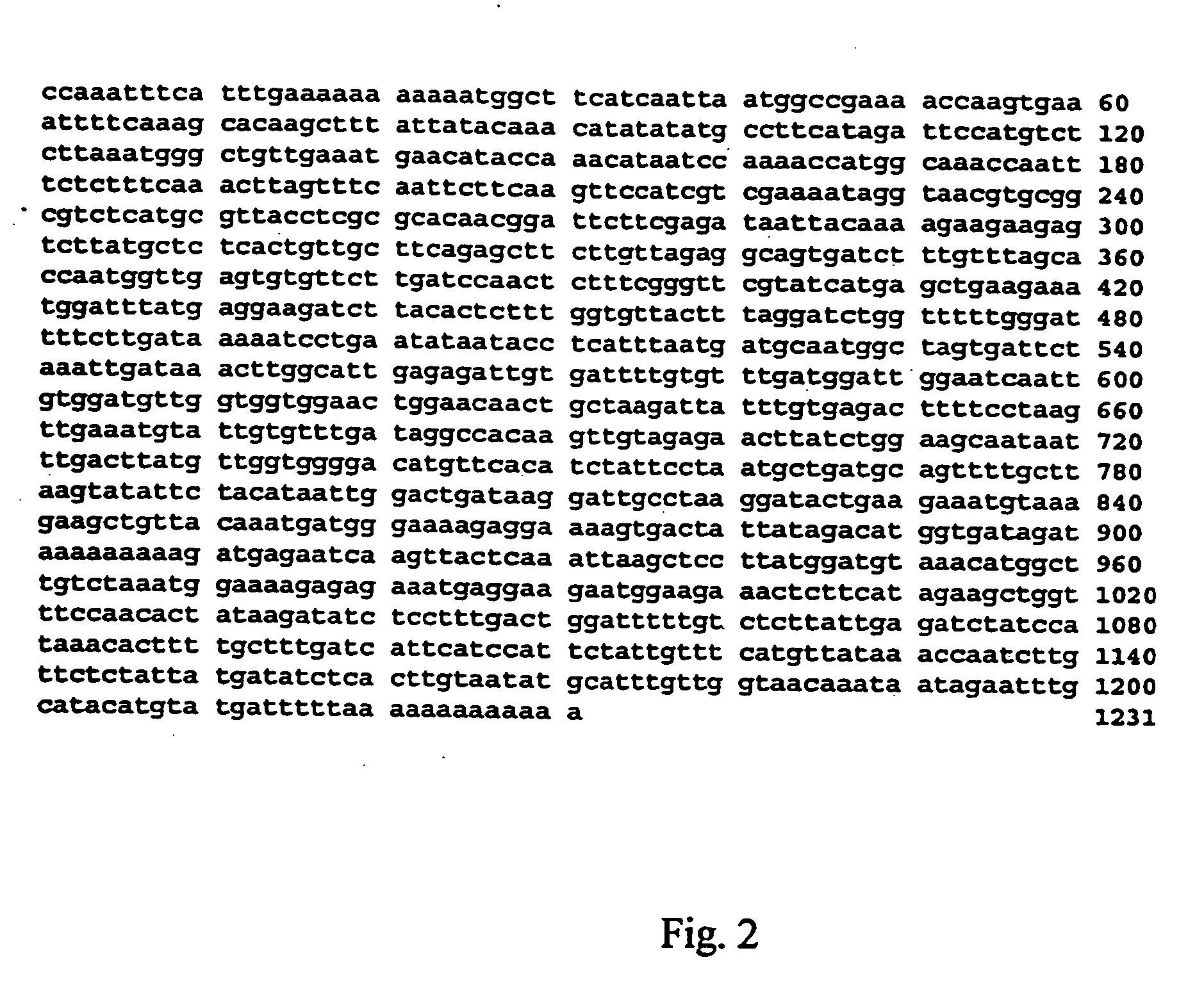 Isoflavonoid methylation enzyme