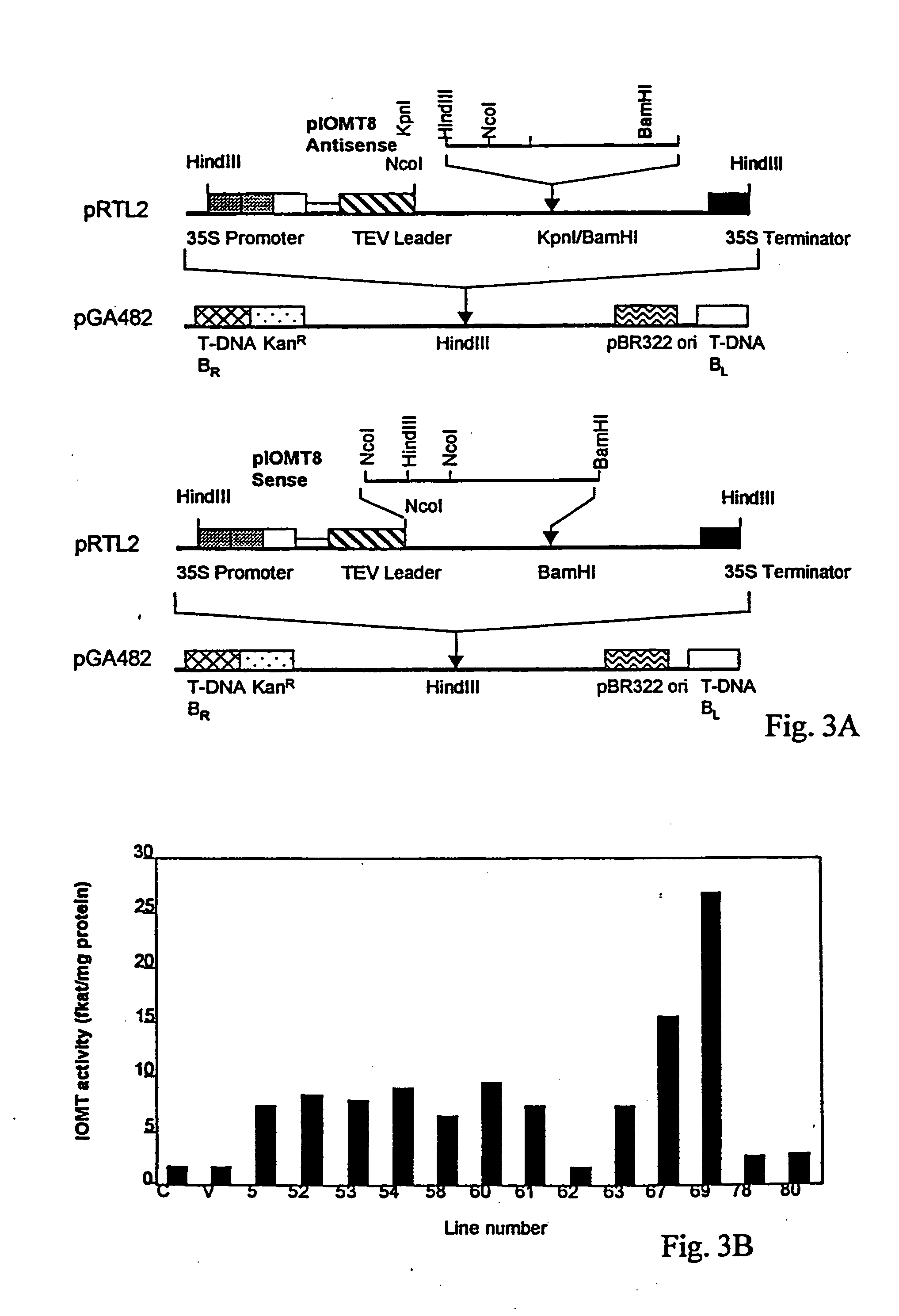 Isoflavonoid methylation enzyme