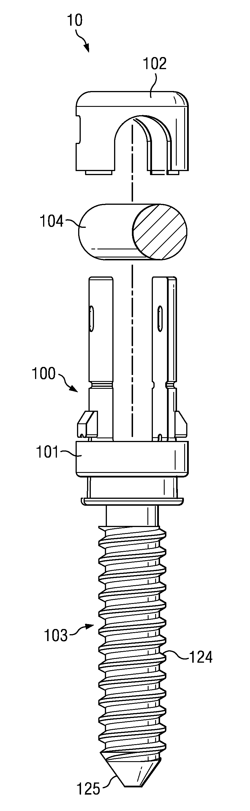 Spinal Implant