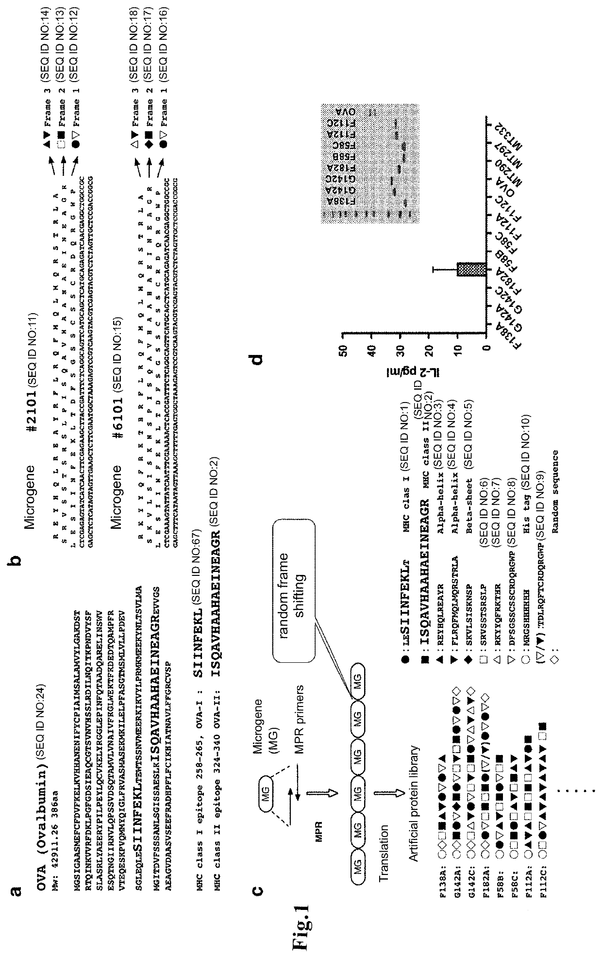 Cellular immunity inducing vaccine