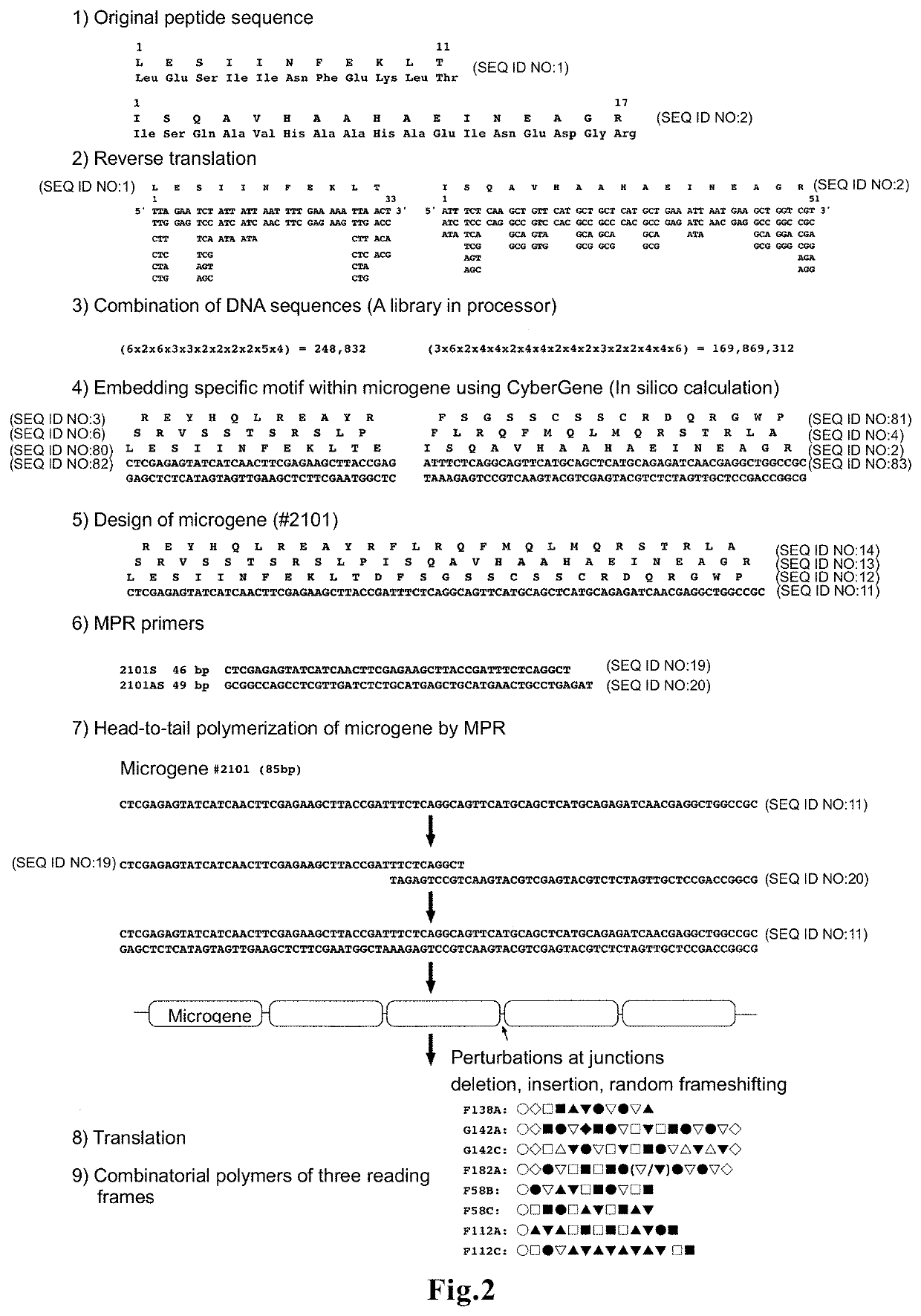 Cellular immunity inducing vaccine