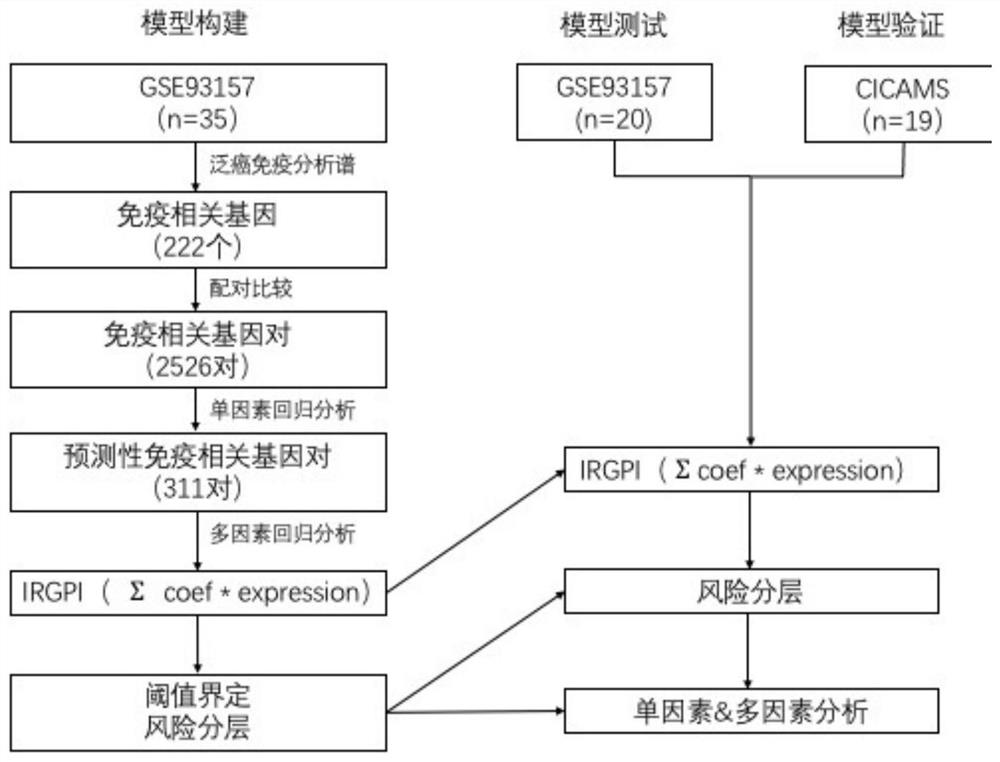 Application of a scoring system based on immune gene pairs in predicting the effect of immunotherapy in patients with non-small cell lung cancer