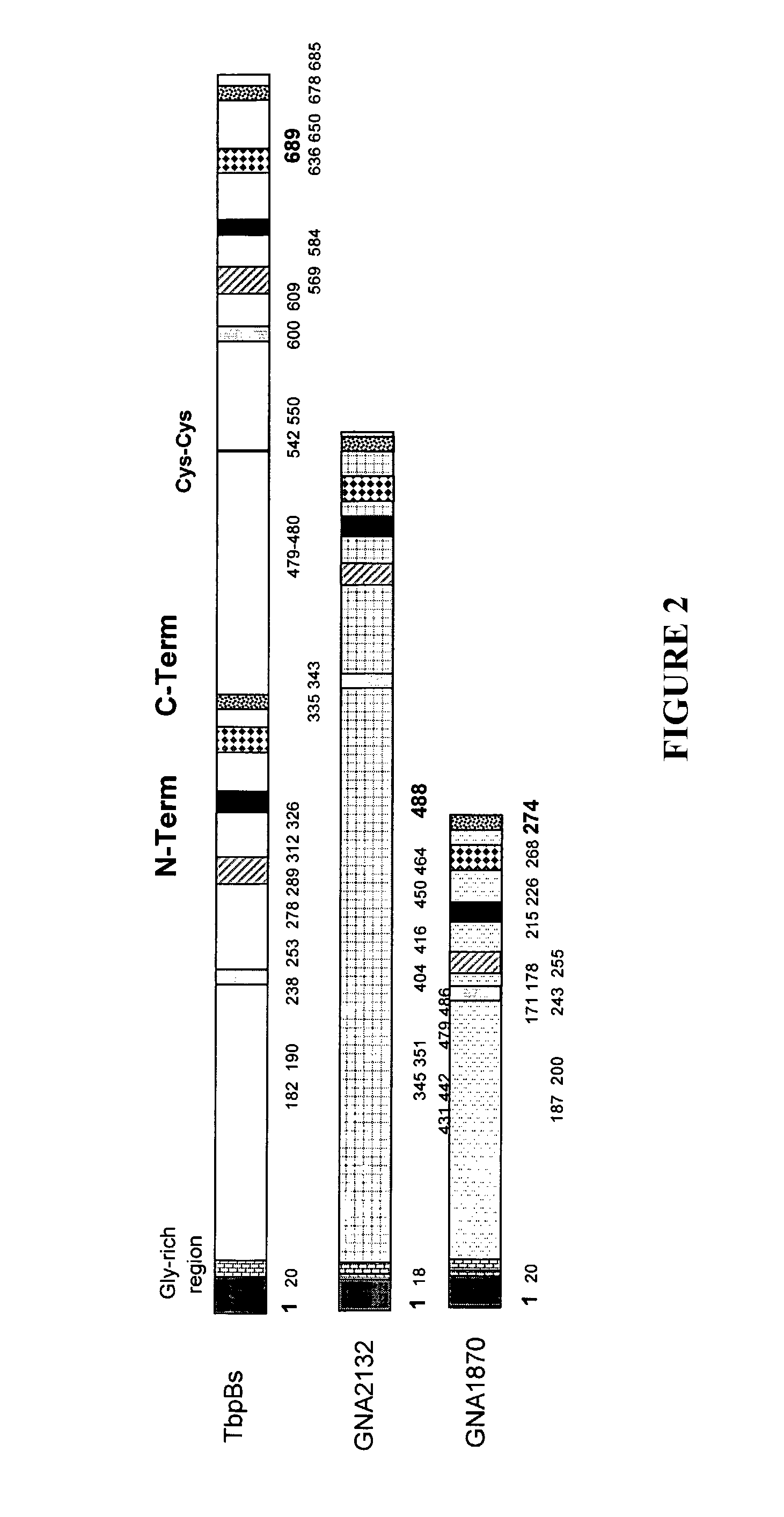 Multiple variants of meningococcal protein NBM1870