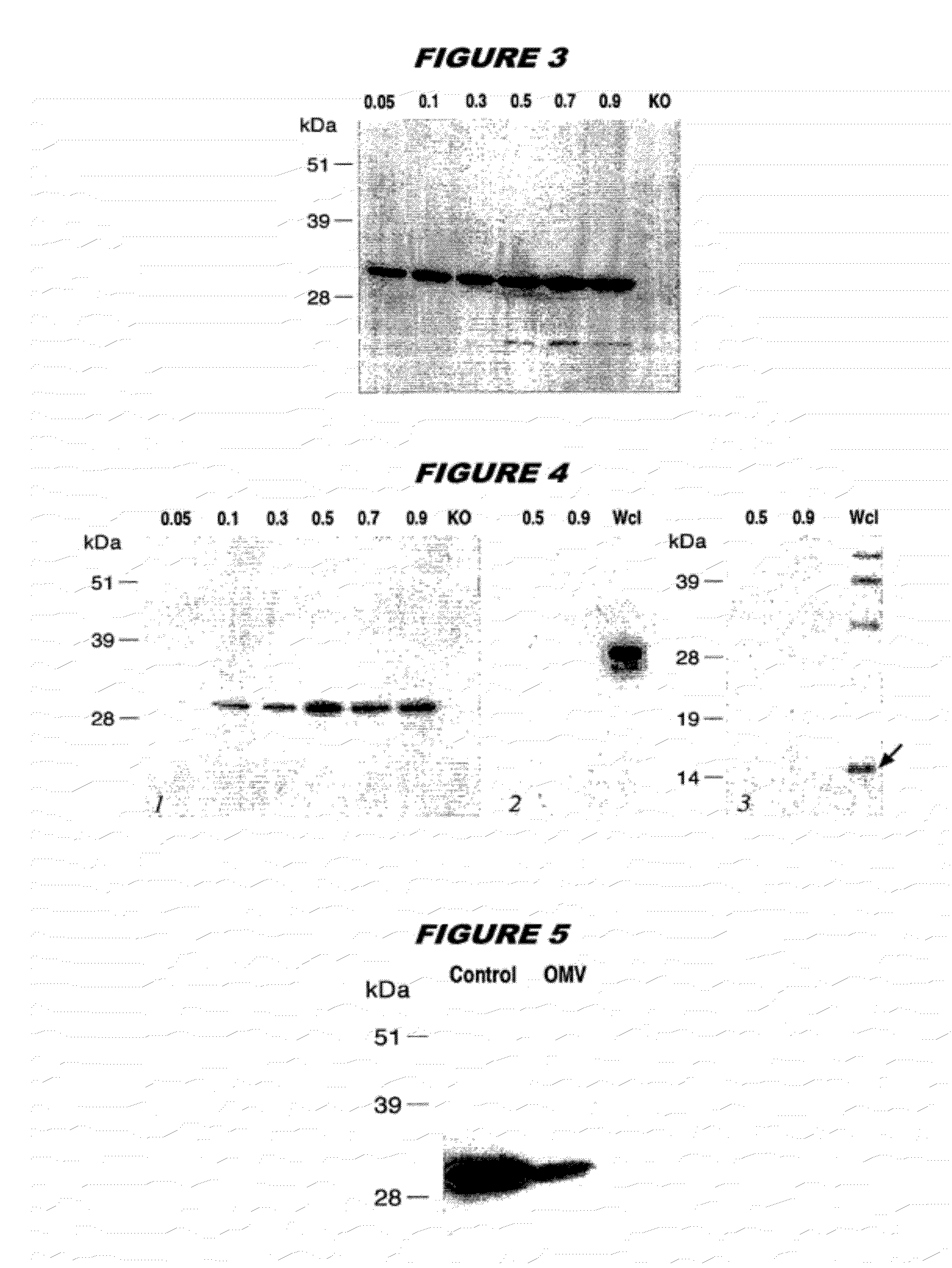 Multiple variants of meningococcal protein NBM1870