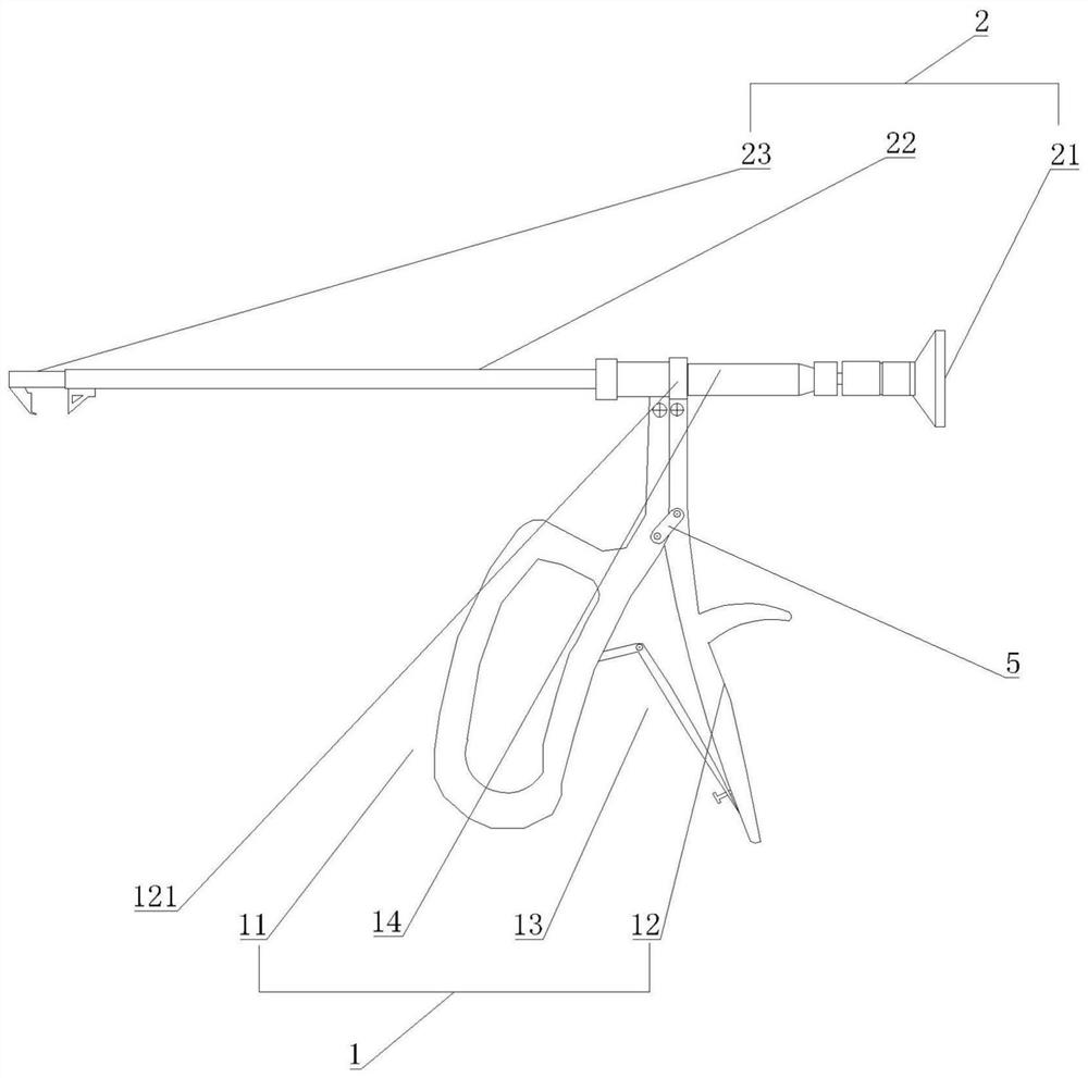 Bladder marking and removing forceps