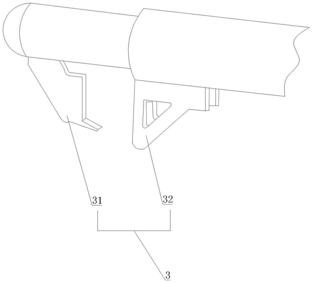 Bladder marking and removing forceps