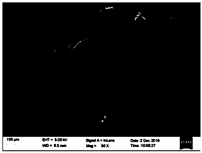 Surface-modified bone meal and preparation method thereof