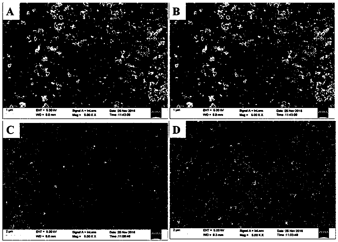 Surface-modified bone meal and preparation method thereof