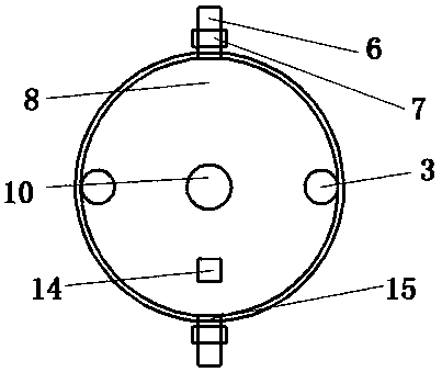 Device and method of on-line automatic count of fries on the basis of machine vision