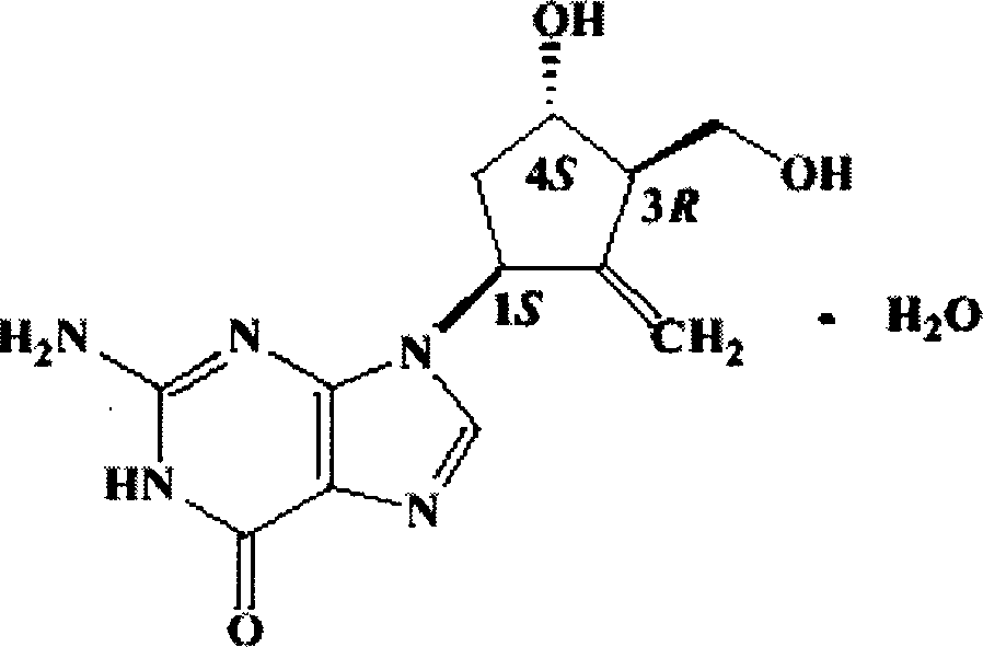 Entecavir dripping pills and method for preparing the same