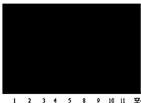 Total DNA (deoxyribonucleic acid) extraction method and kit for synchronously removing humic acid and mycoprotein