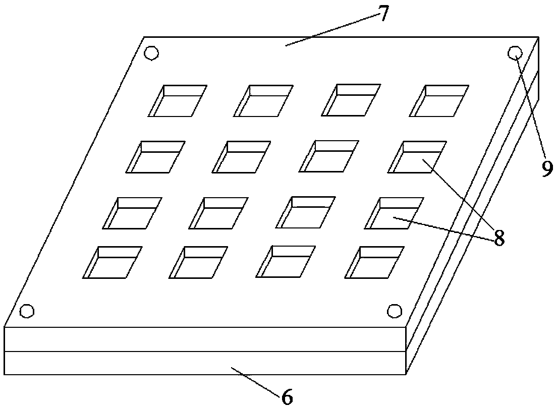 Preparation method of gypsum scanning electron microscope sample