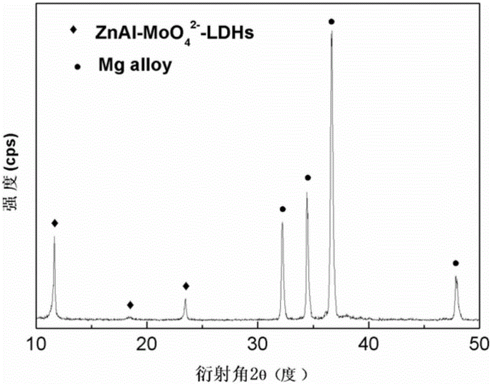 Corrosion-inhibiting anion-intercalated hydrotalcite film prepared by hydrothermal deposition on magnesium alloy surface