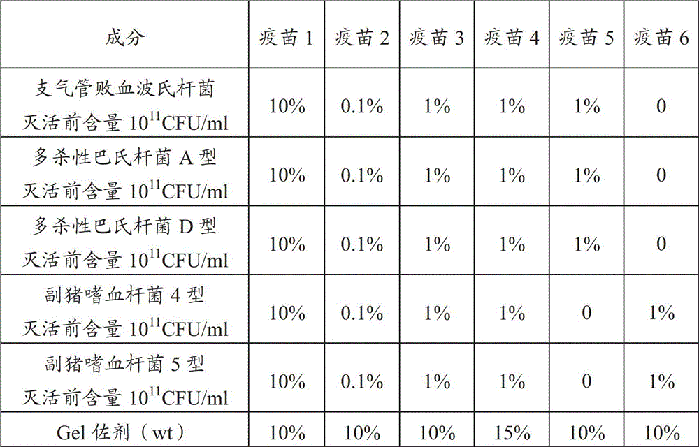 Anti-porcine atrophic rhinitis and haemophilus parasuis vaccine composition and its preparation