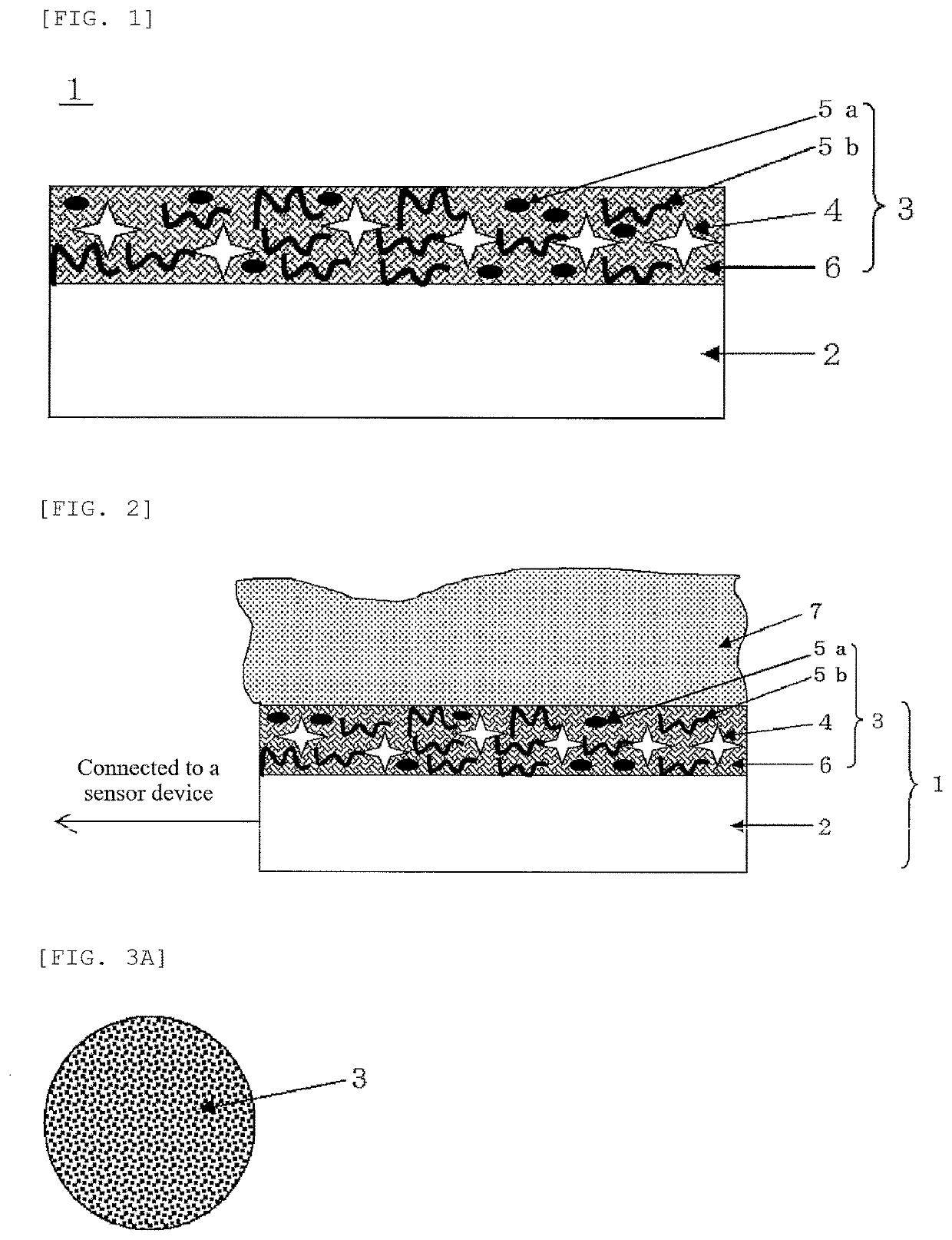 Bio-electrode