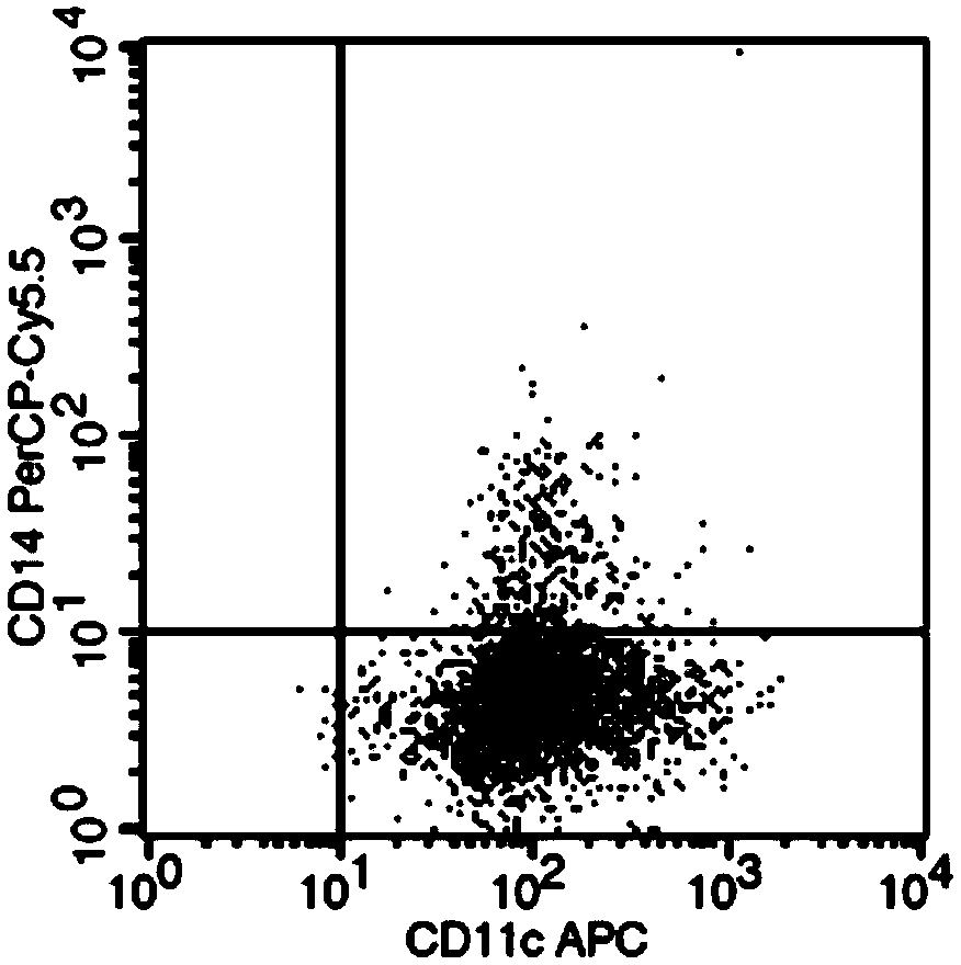 Culture method of DC-CIK (Dendritic Cell-Cytokine-Induced Killer) cells loaded with tumor cell exosomes