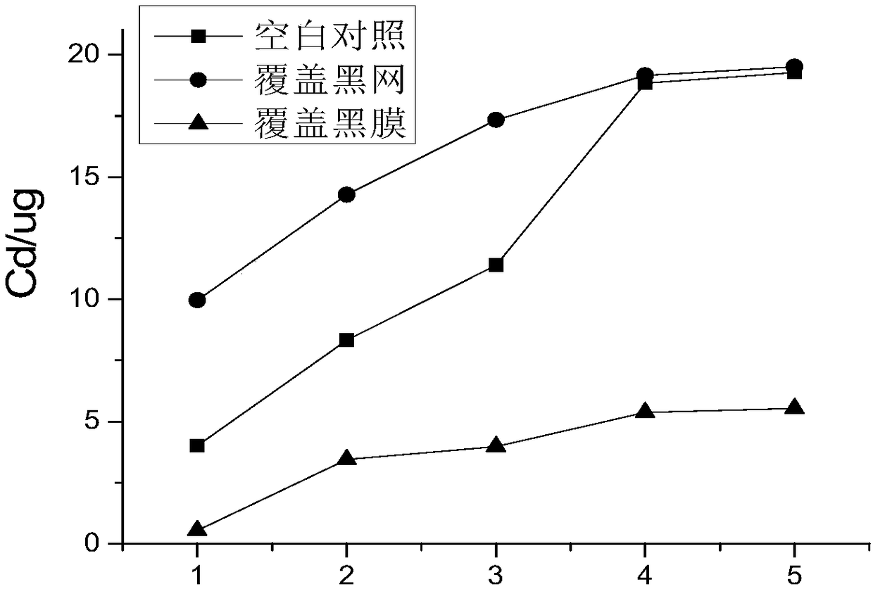 Water-permeable and fertilizer-permeable non-absorbent black net covering weed control method