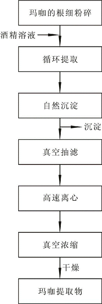 A kind of maca extract and preparation method thereof