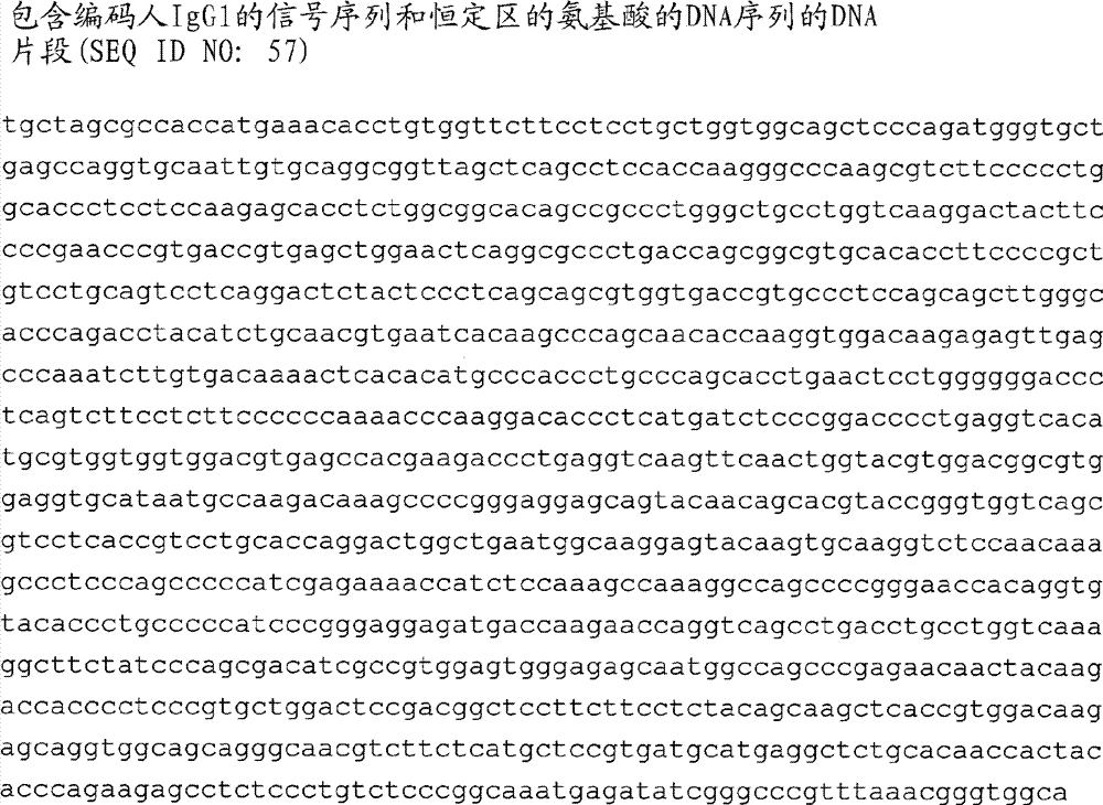 Anti-B7-H3 antibody