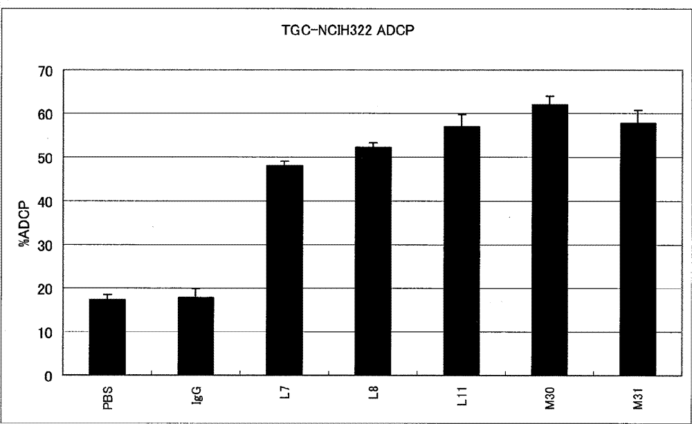 Anti-B7-H3 antibody