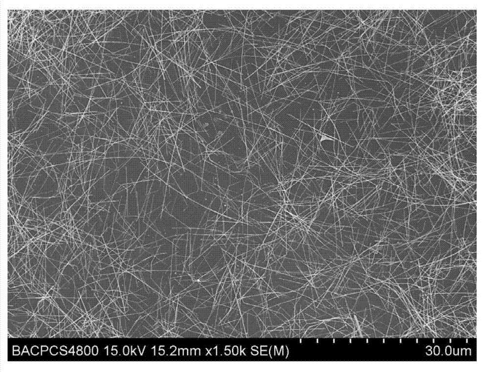 Composite conductive film, its preparation method and its application