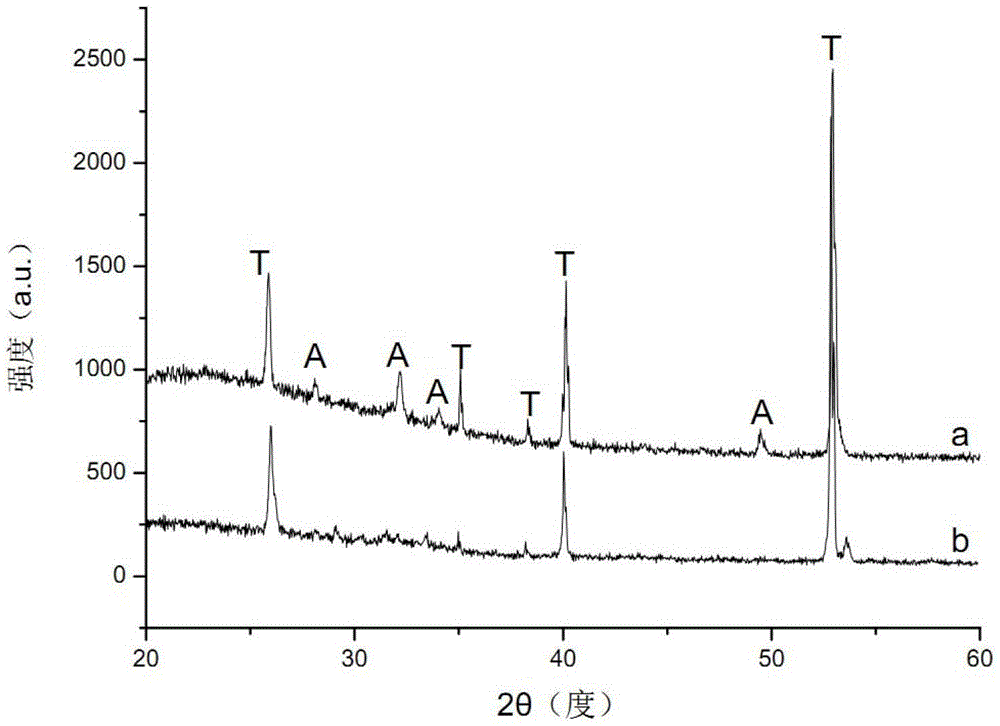 Calcium phosphate biofilm layer and its pulse electrochemical modification method