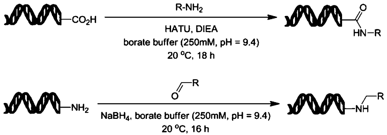 Alkaline buffering solution for establishing DNA coding compound library and application thereof