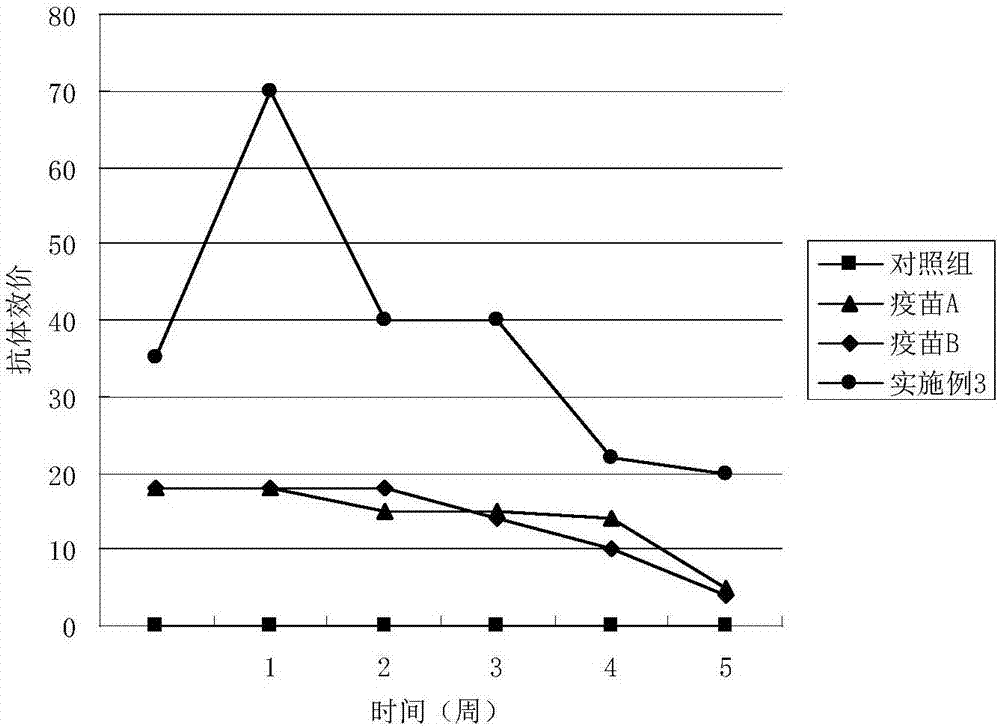 Porcine epidemic diarrhea virus inactivated vaccine and preparation method thereof