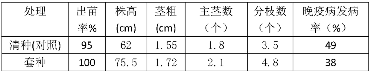 Cultivation method for inter-planting late-maturing potatoes among flax