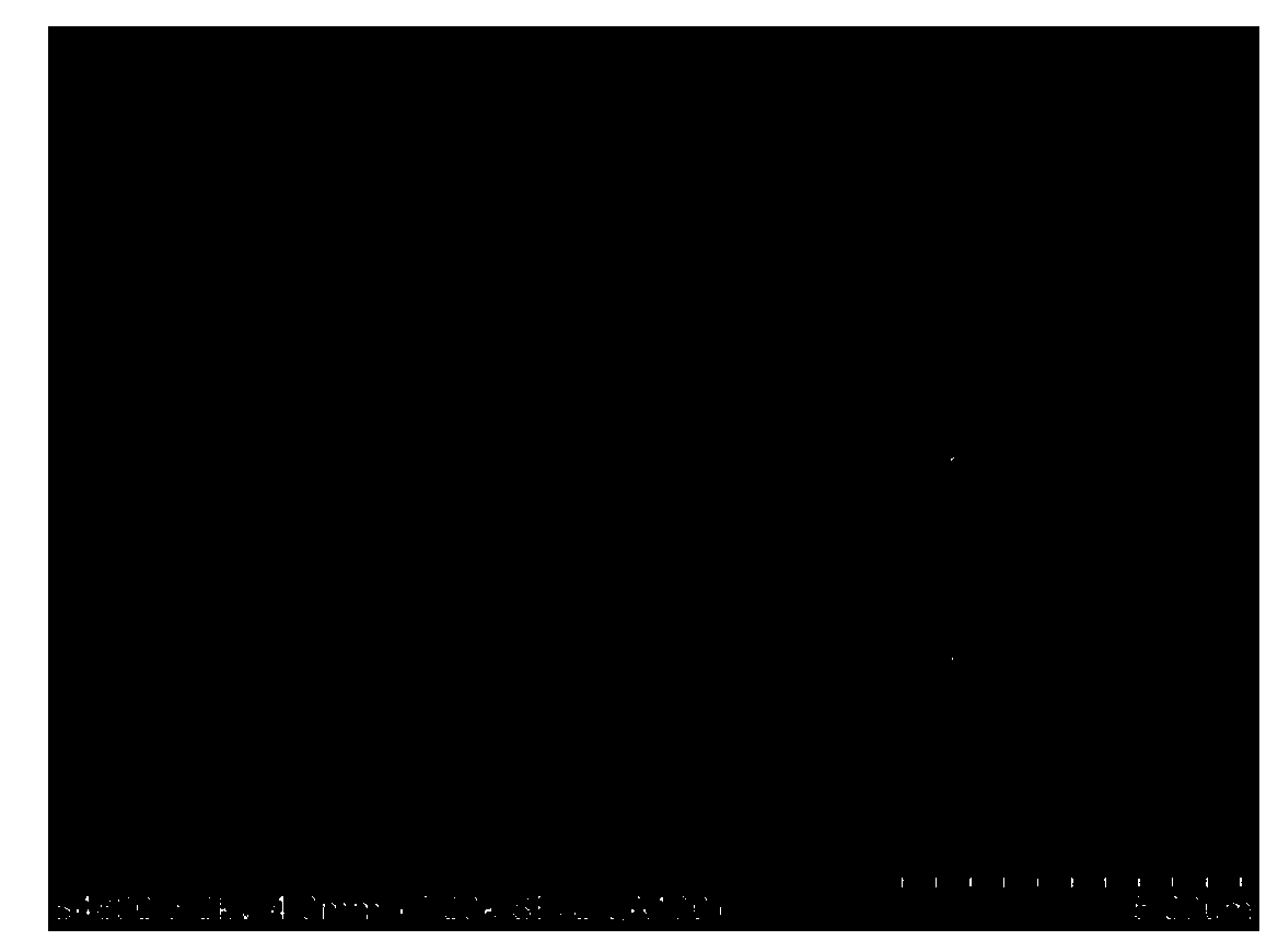 Soft carbon negative material of lithium ion battery, preparation method of soft carbon negative material and lithium ion battery