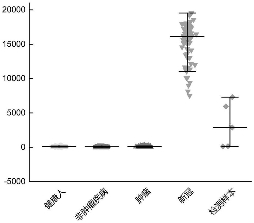 Peripheral blood TCR marker for novel coronavirus infection and detection kit and application thereof