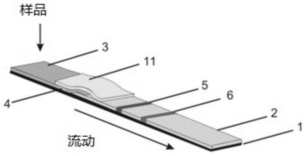 A kind of rapid detection test paper and its preparation method and application