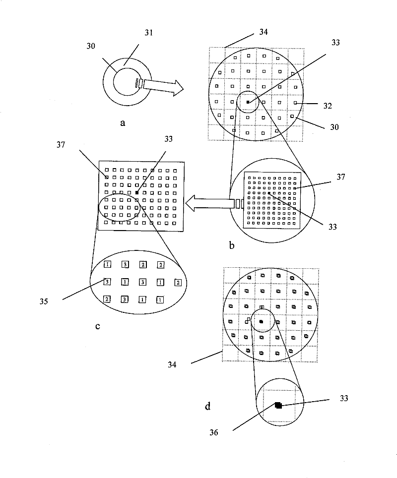 Method for picking model type crystal particle