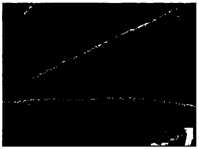 Preparation method and application of carbon-based metal organic frame (MOF) compound derivative material