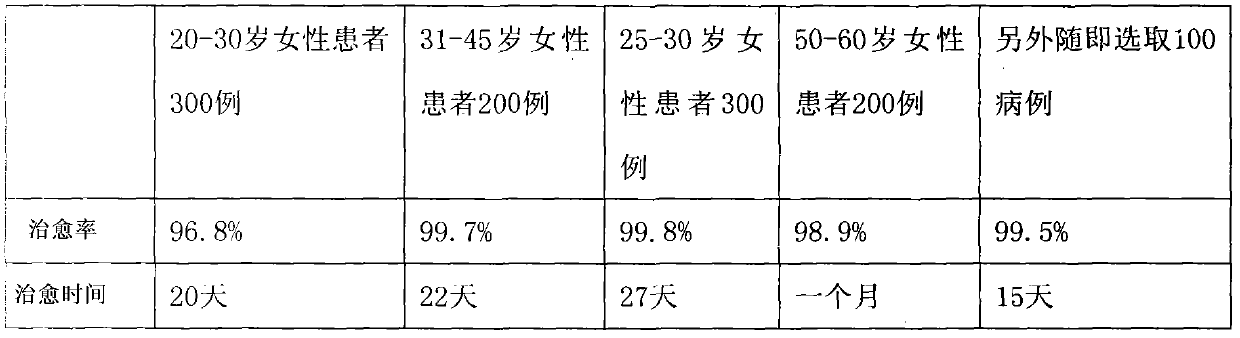 Medicament composition used for treating chronic pelvic inflammatory disease and preparation method thereof