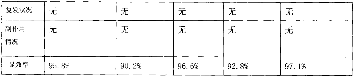 Medicament composition used for treating chronic pelvic inflammatory disease and preparation method thereof