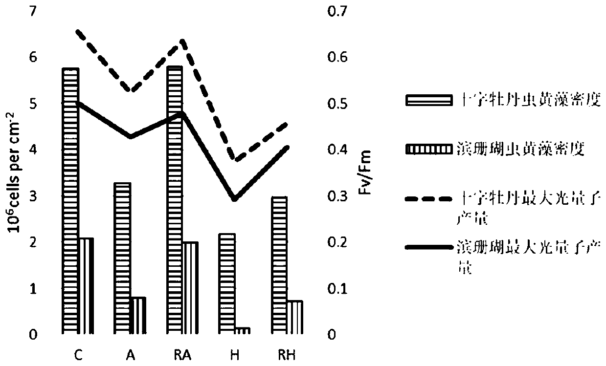 Method for assessing heat resistance of coral