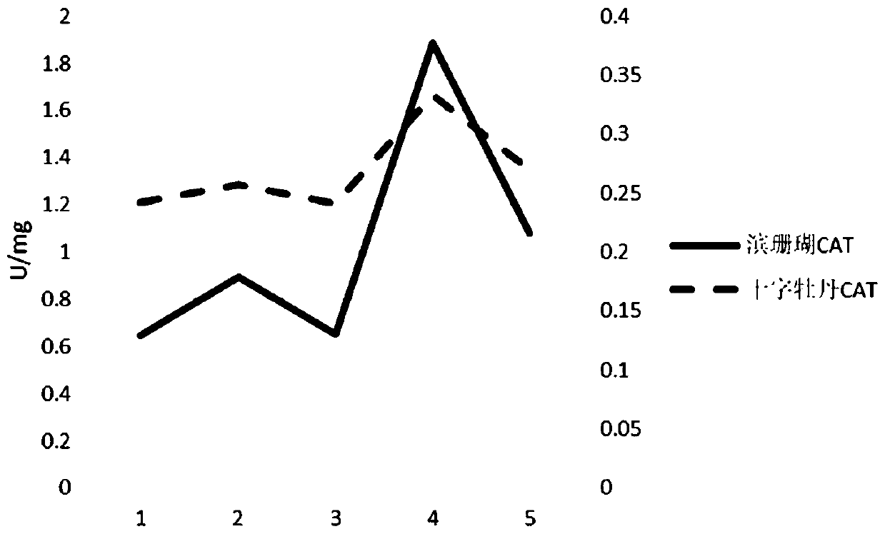 Method for assessing heat resistance of coral