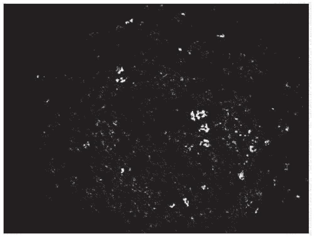 Dried granules for catalyst production, catalyst, and compound production method