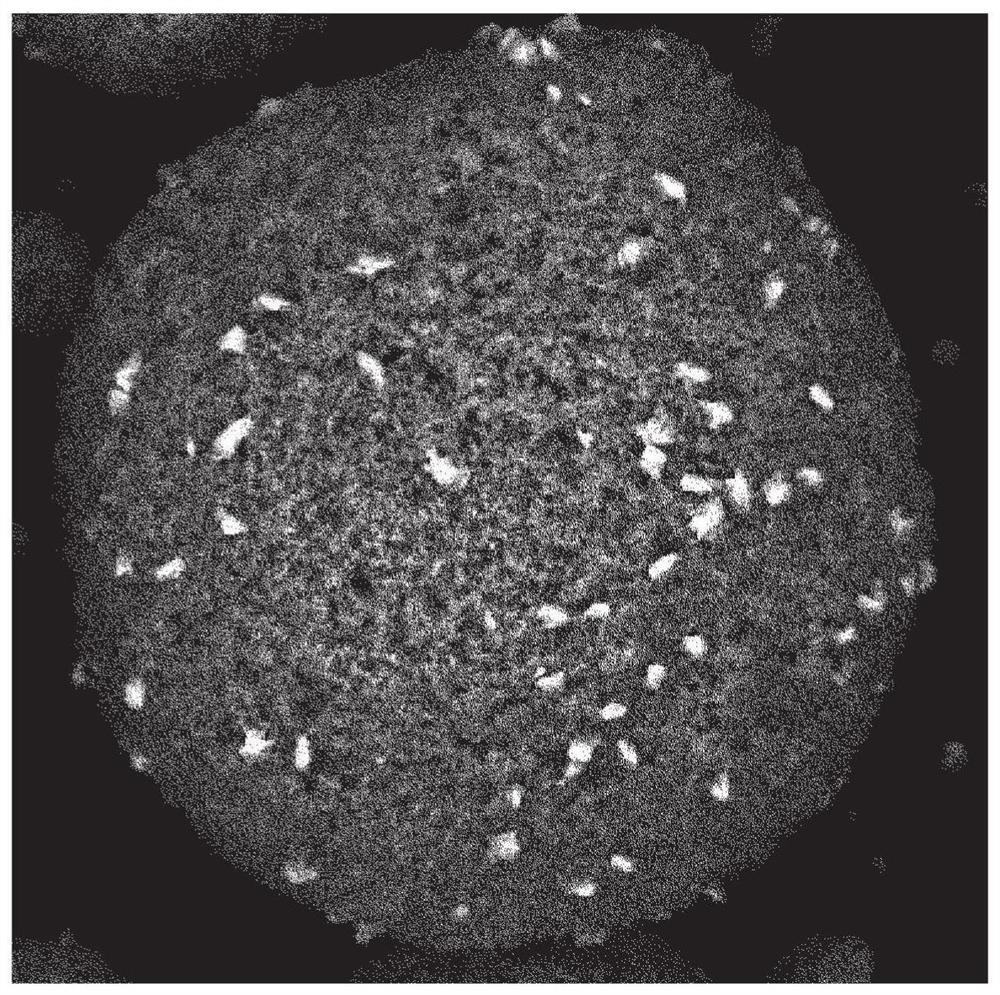 Dried granules for catalyst production, catalyst, and compound production method