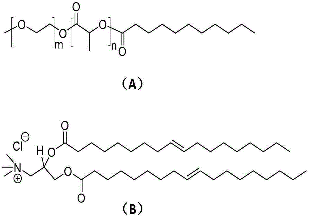 DOTAP-mPEG-PLA nanoparticles, solution of nanoparticles, medicine-carrying compound as well as preparation method and application