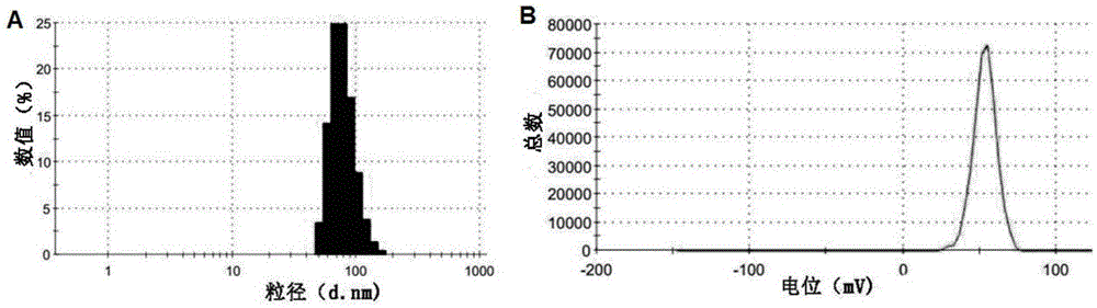 DOTAP-mPEG-PLA nanoparticles, solution of nanoparticles, medicine-carrying compound as well as preparation method and application