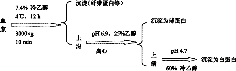 Porcine plasma antioxidant peptide