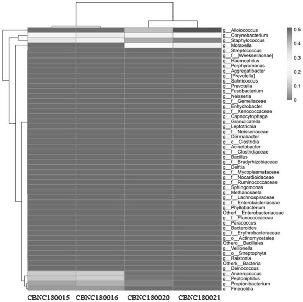 A kind of method and detection kit for nasal flora detection