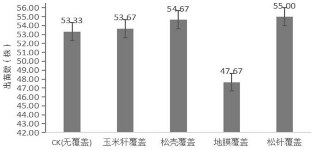 Green and high-yield cultivation method for lilies