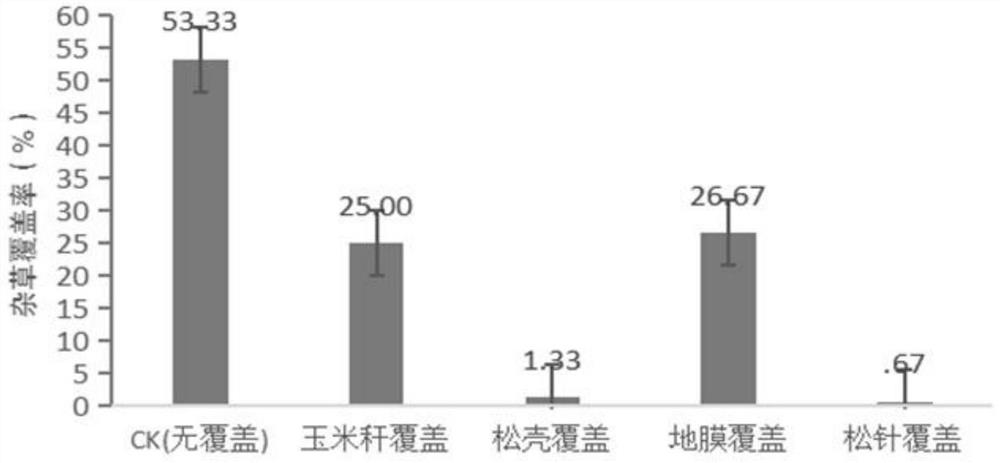 Green and high-yield cultivation method for lilies