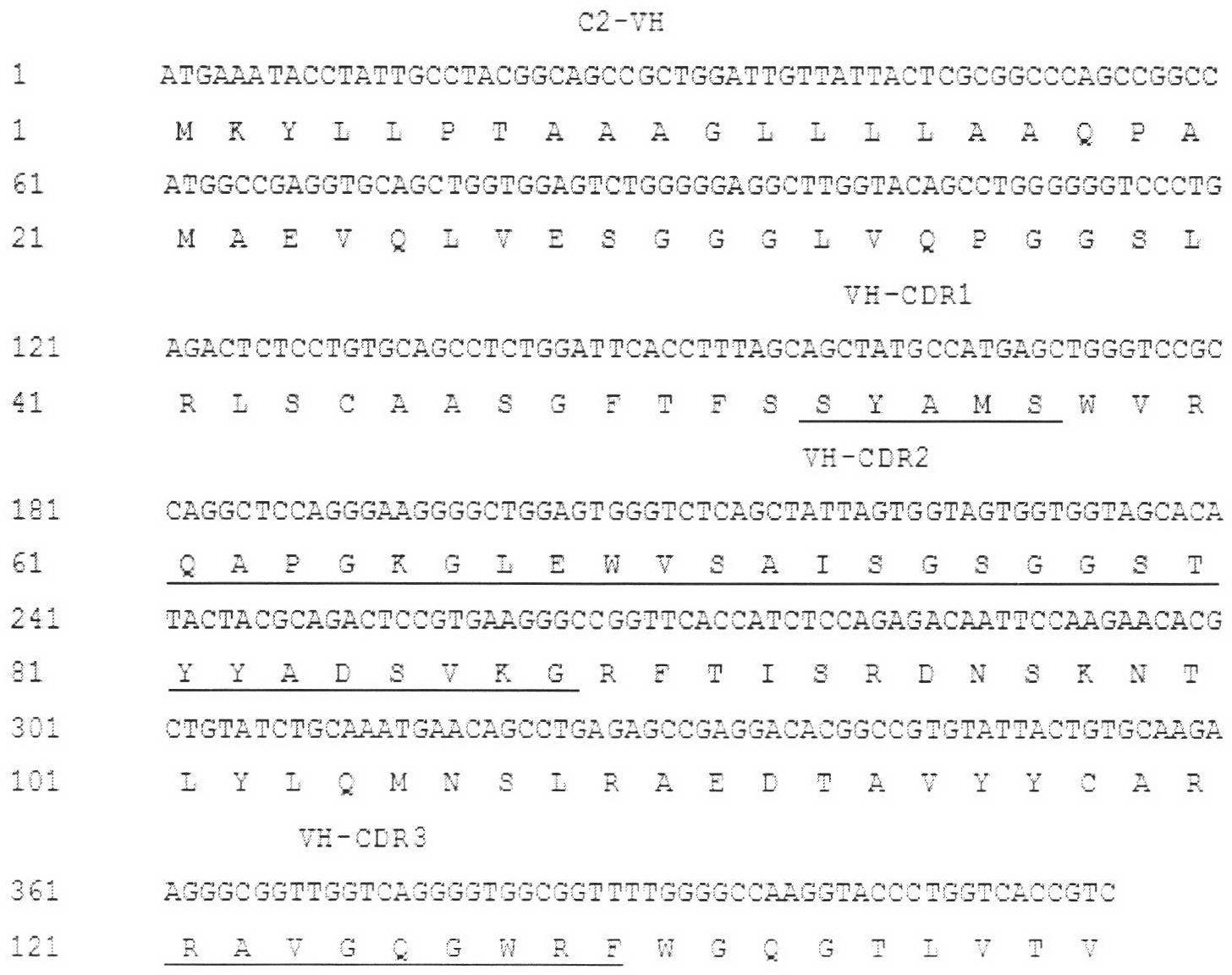 Single-chain antibody of fully-human anti-human interleukin-21 receptor and application thereof