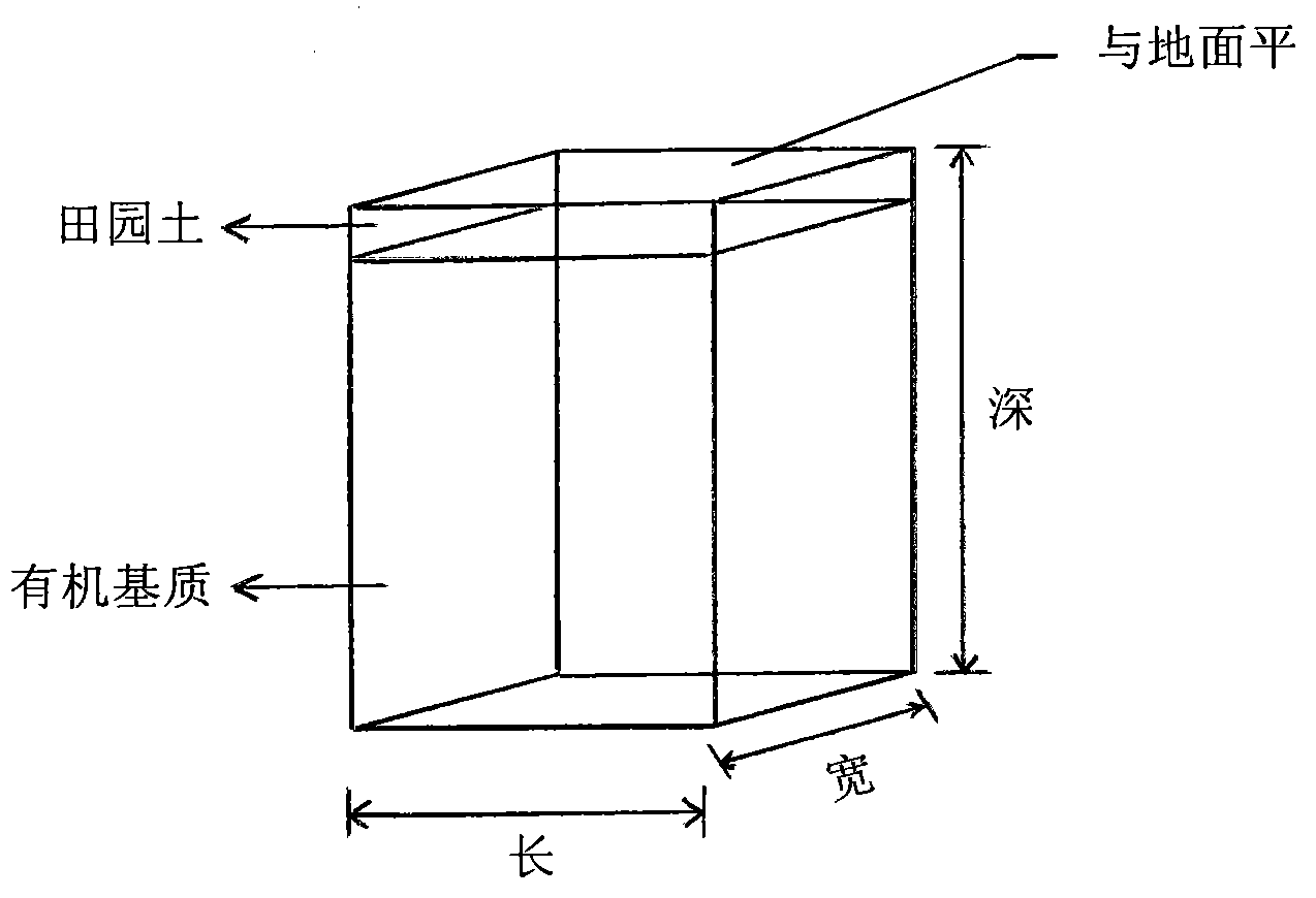 Fertilizer applying method for improving tea garden soil aqueous vapor fertilizer environment